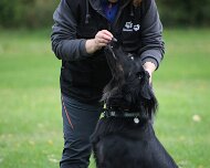 A_B_C Trainingswochenende_Oktober_2024_399-20241014-091505