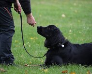 A_B_C Trainingswochenende_Oktober_2024_403-20241014-091505