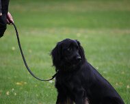 A_B_C Trainingswochenende_Oktober_2024_404-20241014-091505