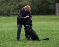 A_B_C Trainingswochenende_Oktober_2024_407-20241014-091505