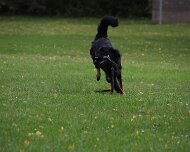 A_B_C Trainingswochenende_Oktober_2024_409-20241014-091505