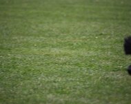 Schutzdienstwochenende_Juli_2024_FD1A8804