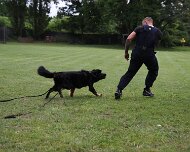 Schutzdienstwochenende_Juli_2024_FD1A8805