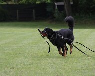 Schutzdienstwochenende_Juli_2024_FD1A8810