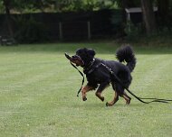 Schutzdienstwochenende_Juli_2024_FD1A8811