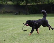 Schutzdienstwochenende_Juli_2024_FD1A8813