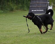 Schutzdienstwochenende_Juli_2024_FD1A8815