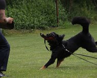 Schutzdienstwochenende_Juli_2024_FD1A8817