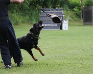 Schutzdienstwochenende_Juli_2024_FD1A8819