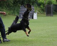 Schutzdienstwochenende_Juli_2024_FD1A8820