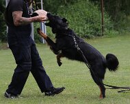 Schutzdienstwochenende_Juli_2024_FD1A8821