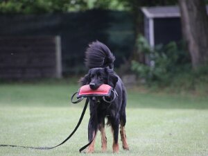 Schutzdienstwochenende