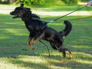 A_B_C Trainingswochenende Oktober 2025