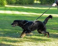 ABC_Trainingswochenende_Oktober_2025_DSC_7336-20251019