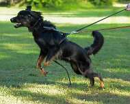 ABC_Trainingswochenende_Oktober_2025_DSC_7338-20251019