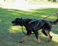 ABC_Trainingswochenende_Oktober_2025_DSC_7339-20251019