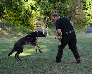 ABC_Trainingswochenende_Oktober_2025_DSC_7343-20251019