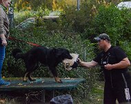 ABC_Trainingswochenende_Oktober_2025_DSC_7519-20251019