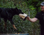 ABC_Trainingswochenende_Oktober_2025_DSC_7520-20251019