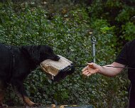 ABC_Trainingswochenende_Oktober_2025_DSC_7521-20251019