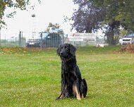 ABC_Trainingswochenende_Oktober_2025_DSC_7632-20251019