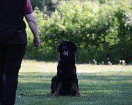 B_C_Trainingswochenende_Mai_2025_FD1A3217-20250501