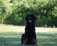 B_C_Trainingswochenende_Mai_2025_FD1A3218-20250501