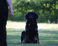 B_C_Trainingswochenende_Mai_2025_FD1A3219-20250501