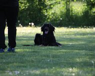 B_C_Trainingswochenende_Mai_2025_FD1A3221-20250501