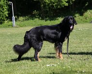 B_C_Trainingswochenende_Mai_2025_FD1A3223-20250501