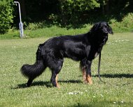 B_C_Trainingswochenende_Mai_2025_FD1A3224-20250501