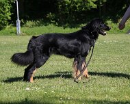 B_C_Trainingswochenende_Mai_2025_FD1A3226-20250501