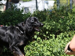 C_ Trainingswochenende