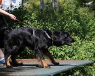 C_Trainingswochenende_2025_FD1A4150-20250531-122740