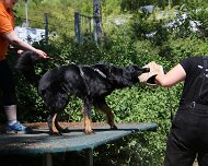 C_Trainingswochenende_2025_FD1A4153-20250531-122748