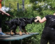 C_Trainingswochenende_2025_FD1A4154-20250531-122749