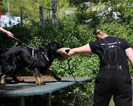 C_Trainingswochenende_2025_FD1A4156-20250531-122749