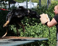 C_Trainingswochenende_2025_FD1A4164-20250531-122847