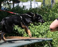 C_Trainingswochenende_2025_FD1A4165-20250531-122848