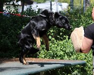 C_Trainingswochenende_2025_FD1A4166-20250531-122849