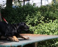 C_Trainingswochenende_2025_FD1A4167-20250531-122853