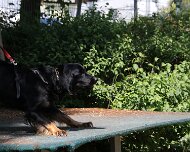 C_Trainingswochenende_2025_FD1A4168-20250531-122853