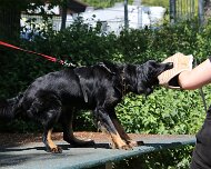 C_Trainingswochenende_2025_FD1A4169-20250531-122902