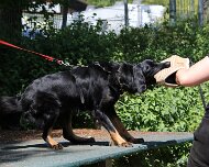 C_Trainingswochenende_2025_FD1A4170-20250531-122902