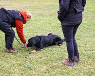 Workshop_Ollmann_Maerz_2025_FD1A2231-20250301