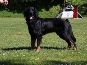 B_C Trainingswochenende