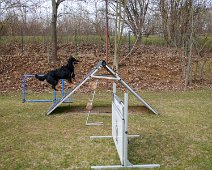 Workshop_Steffi_Ollmann_DSC_3761-2023 03 11