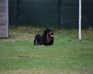 Fruehjahrspruefung_Maerz_2026_FD1A7544-20260314